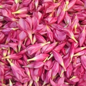 Fresh Pink Arali Flowers Loose (Approx 50g)^