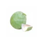 Ash Gourd
