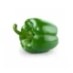 Capsicum