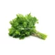 Coriander Leaves