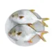 Diamond-Foods-Golden-Pomfret-Steak
