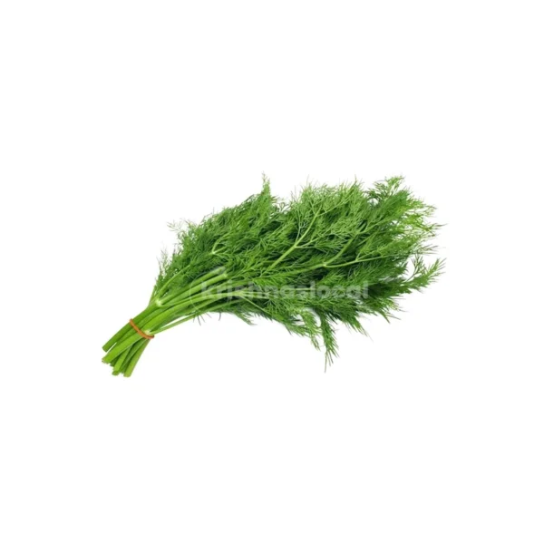 Fresh Dill Leaf Bunch^