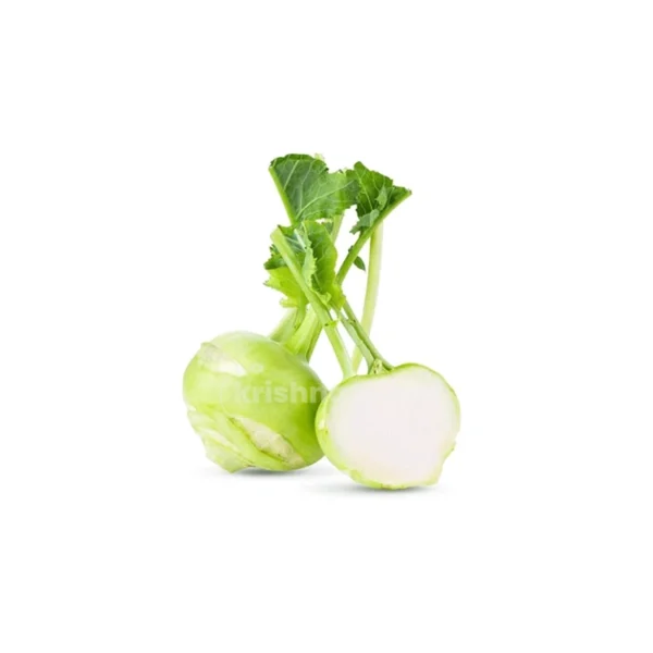 Fresh Kohlrabi (single)^