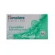 Himalaya Cucumber