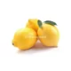 Yellow Lemon