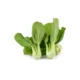 fresh pak choi krishna