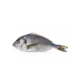 Fresh Sea Bream 3pcs